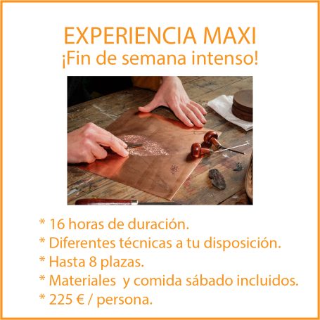 Experiencia maxi