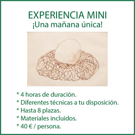 Experiencia mini